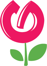 گل آیین
