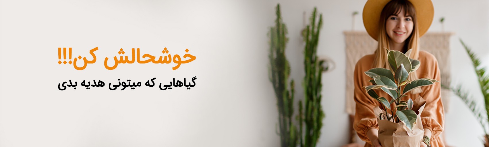 گل آیین