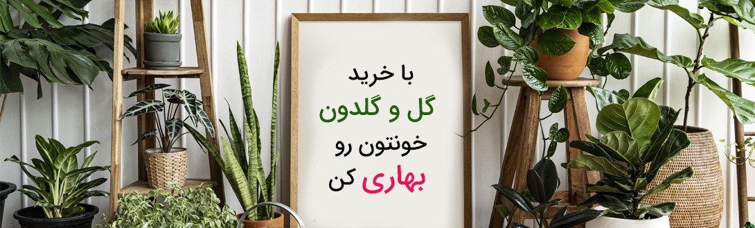 گل آیین