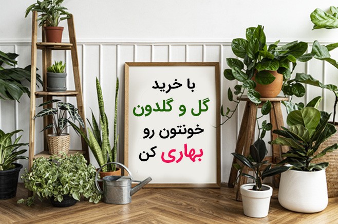 گل آیین