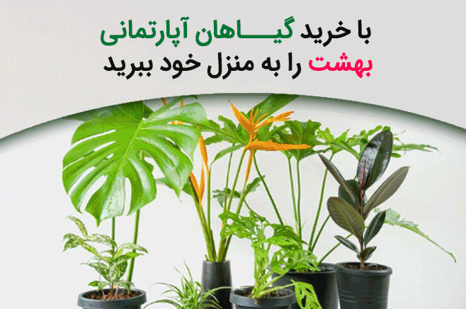 متحرک